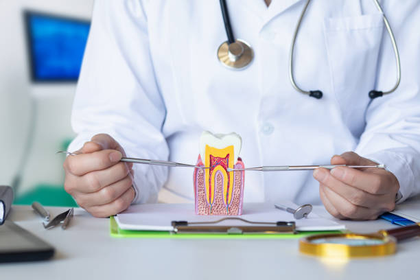 Best Emergency Treatment for Dental Infections or Abscesses in Red Corral, CA